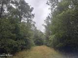 Tbd Ash Little River Road - Photo 4