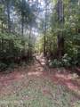 Lot 5a Davis East Road - Photo 4
