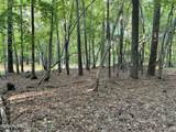 81 Beans Bend - Photo 11