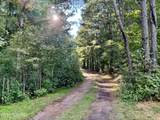 81 Beans Bend - Photo 5