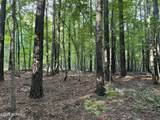 81 Beans Bend - Photo 6