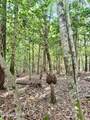 81 Beans Bend - Photo 9