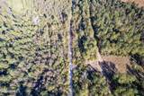 Tbd Bull Tail Road - Photo 12