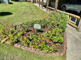 803 Jetty Court - Photo 31