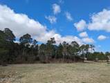 248 Kings Creek Crossing - Photo 17