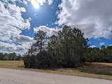 248 Kings Creek Crossing - Photo 19