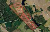 Tbd Cowpen Swamp Road - Photo 2