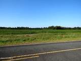 Tbd Cowpen Swamp Road - Photo 4
