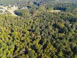 Tbd Terry Bridge Rd Road - Photo 5