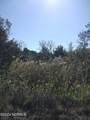Tract A Meekins Road - Photo 1