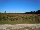 Near 8195 Old Stake Road - Photo 6