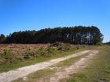Near 8195 Old Stake Road - Photo 7