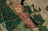 Tbd Cowpen Swamp Road - Photo 2