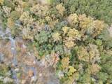 0 Wild Cat Road - Photo 3