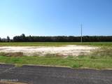 Tbd Cowpen Swamp Road - Photo 4