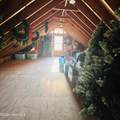 152 County Line Road - Photo 29