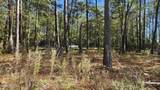 0 Barnes Foster Loop Road - Photo 4