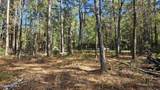 0 Barnes Foster Loop Road - Photo 6