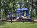 7114 Fisk Dr , #91 - Photo 27