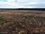 556.18 Ac Nc 210 Hwy - Photo 11