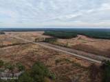 556.18 Ac Nc 210 Hwy - Photo 28