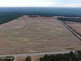 556.18 Ac Nc 210 Hwy - Photo 3