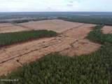556.18 Ac Nc 210 Hwy - Photo 31