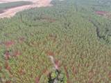 556.18 Ac Nc 210 Hwy - Photo 32