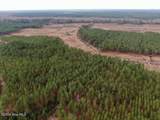 556.18 Ac Nc 210 Hwy - Photo 33