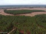 556.18 Ac Nc 210 Hwy - Photo 34