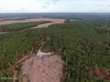 556.18 Ac Nc 210 Hwy - Photo 35
