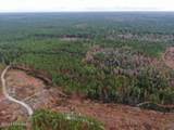 556.18 Ac Nc 210 Hwy - Photo 40