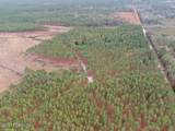 556.18 Ac Nc 210 Hwy - Photo 43
