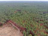 556.18 Ac Nc 210 Hwy - Photo 47