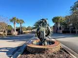 2252 Dolphin Shores Drive - Photo 40