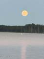 239 Pamlico Parkway - Photo 7
