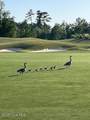 3030 Marsh Winds Circle - Photo 40