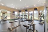 1212 Andora Drive - Photo 40