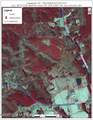 000 Poplar Springs Church Road - Photo 3