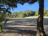 43 Fort Holmes Trail - Photo 2