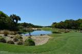 35 Dowitcher Trail - Photo 14