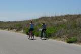 35 Dowitcher Trail - Photo 8