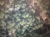 L-678/679 Bordeaux Road - Photo 1