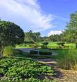 6967 Rosebury Court - Photo 17