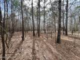 0 Jolly Ole Field Road - Photo 1