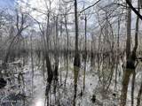 0 Jolly Ole Field Road - Photo 5