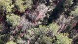 Lot 7 Sandy Point Road - Photo 31