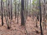 Lot 7 Sandy Point Road - Photo 51