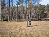 545 Avocet Drive - Photo 3