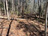 7843 Raintree Road - Photo 6